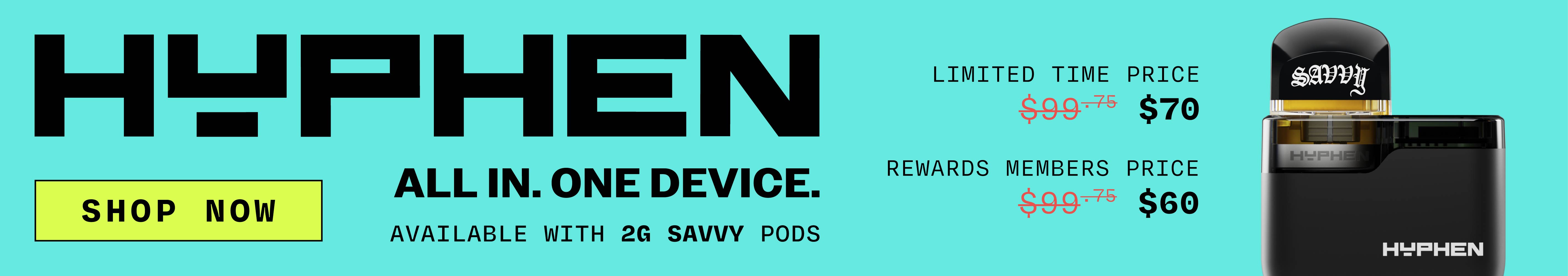 Savvy 2G Hyphen All-In-One