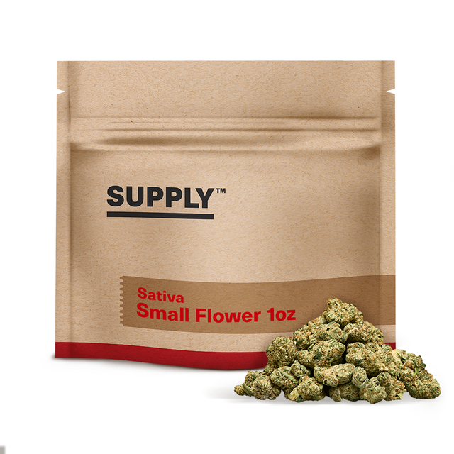 Mango Mintality Supply