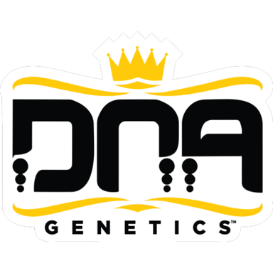 Chocolope AIO DNA Genetics Chocolope AIO DNA Genetics