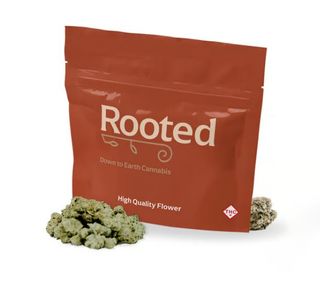 Pave Rooted