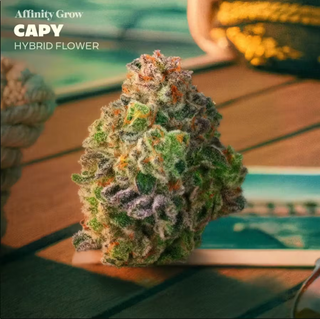 Capy product