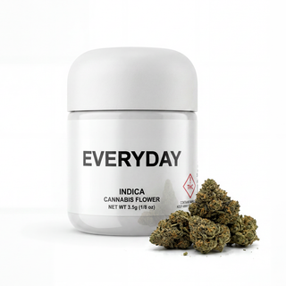 GLTO SNDE #2 Everyday GLTO SNDE #2 Everyday