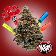 Permanent Push Pop  Legacy