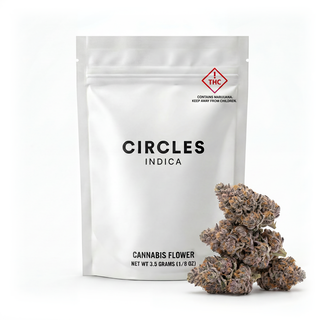 Earth Jam Circles 