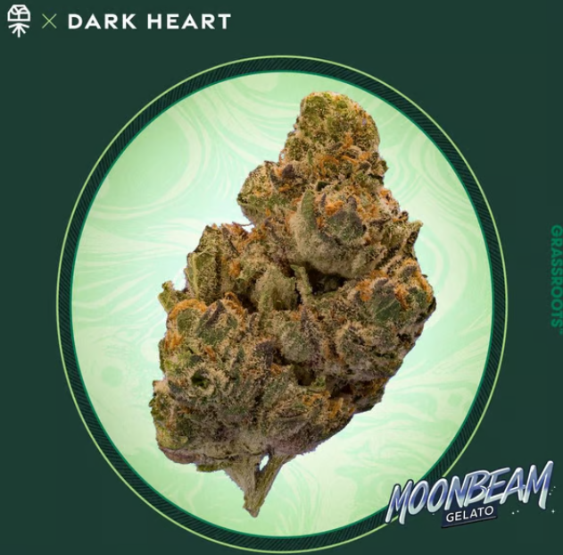Moonbeam Gelato Grassroots