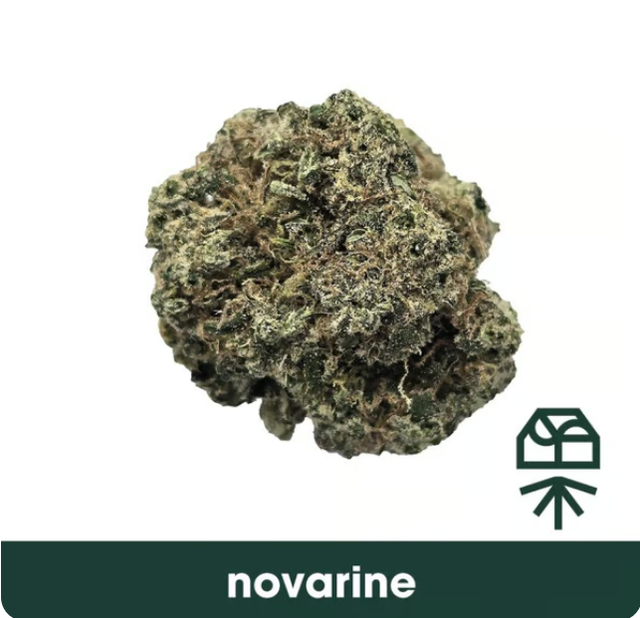 Novarine Grassroots