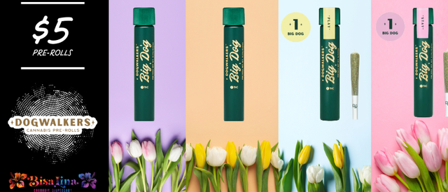 Cannabis Promo, Cannabis Sales, Cannabis Discounts, Cannabis on Sale, $5 Pre-Rolls!!!
