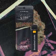 Notorious #1 AIO EVOL