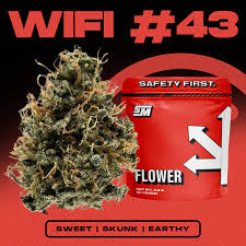 Safety Meeting Wifi #43 Smalls 7g