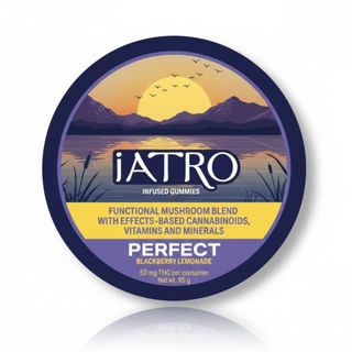 Gummies | Functional Mushrooms | Perfect | Blackberry Lemonade | THC:CBD:CB iATRO