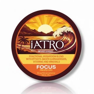 Gummies | Functional Mushrooms | Focus | Pineapple Chili | THC:CBG:CBC iATRO