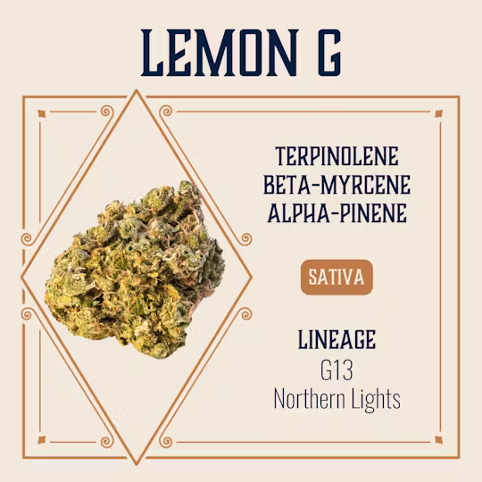 Lemon G Elevate