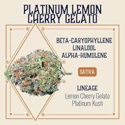 Platinum Lemon Cherry Gelato Elevate Platinum Lemon Cherry Gelato Elevate