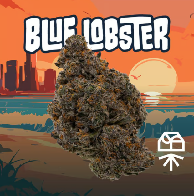 Blue Lobster Grassroots