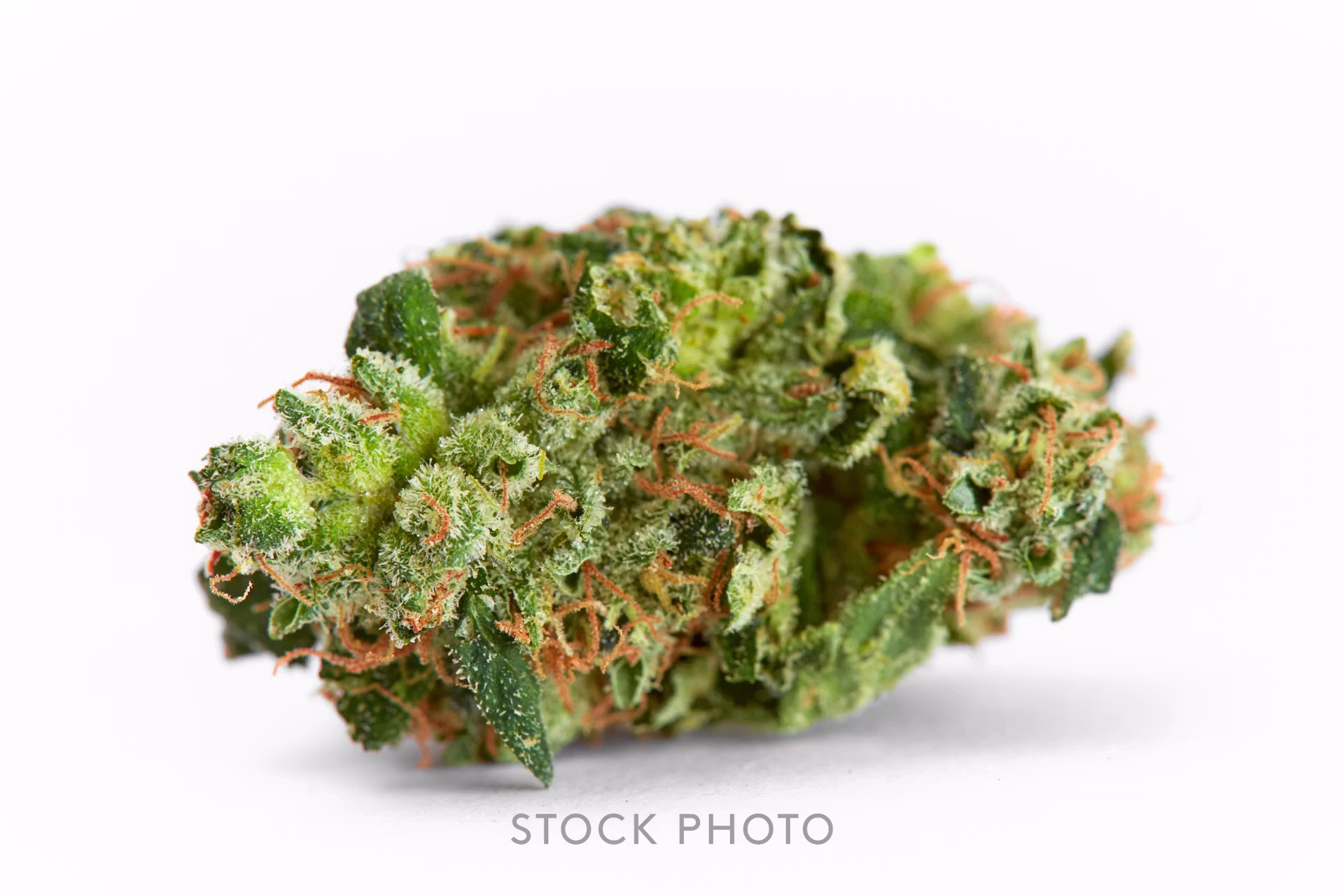 Strawberry Zkillato Garden Greens Strawberry Zkillato Garden Greens