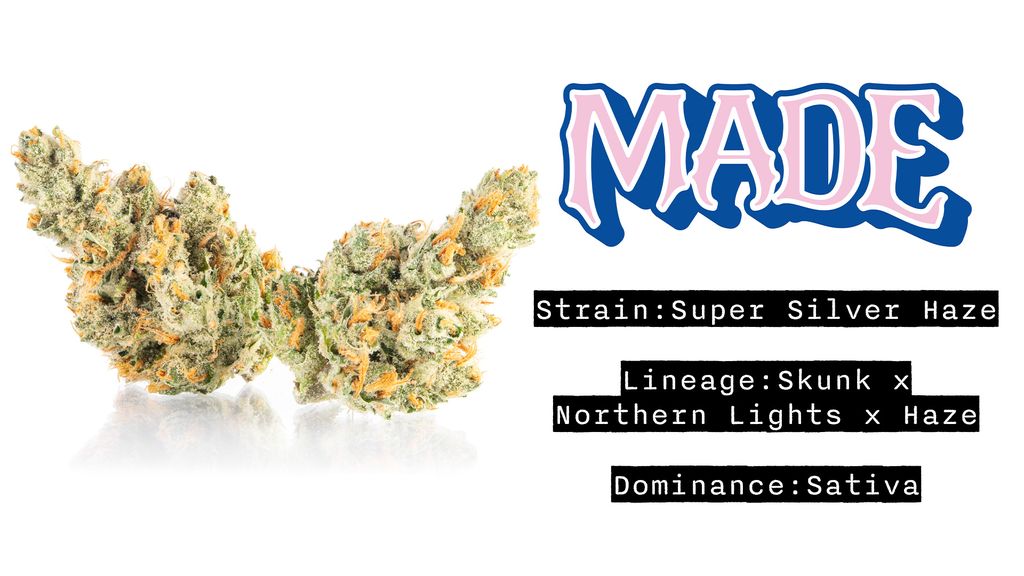 Super Silver Haze
