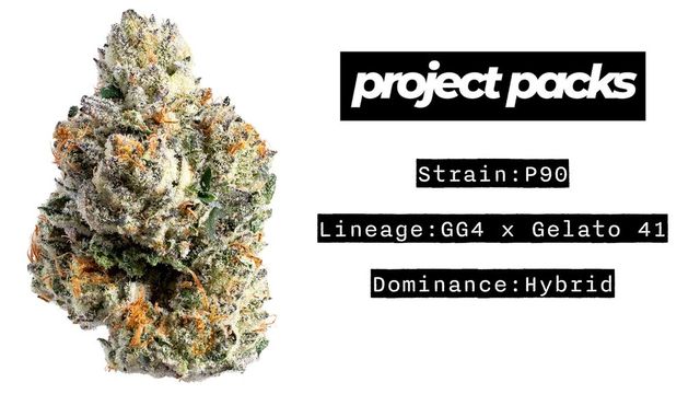 P90 Project Packs