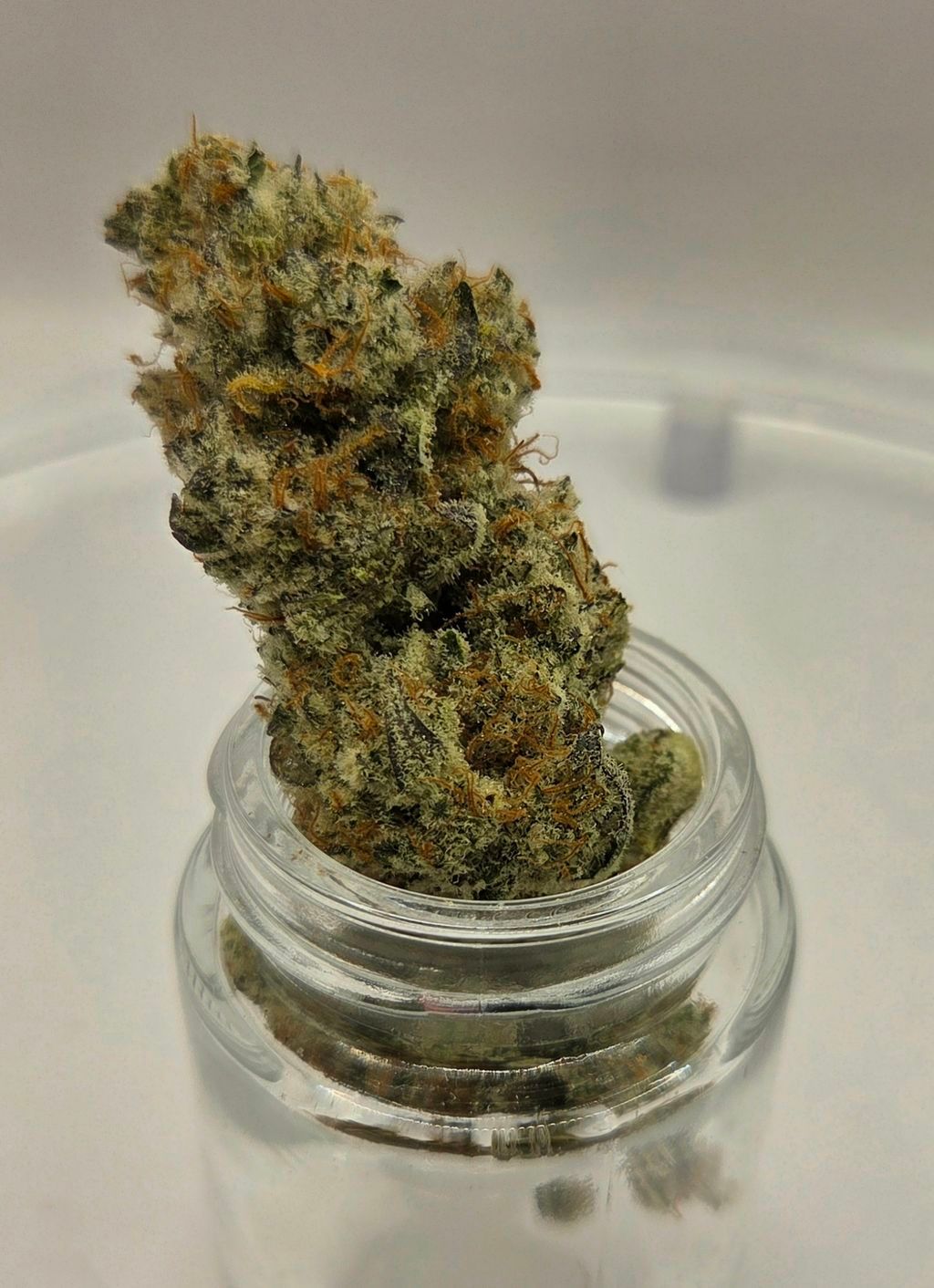 Rare Michigan Genetics Macinawe Deli Style Flower, 1g