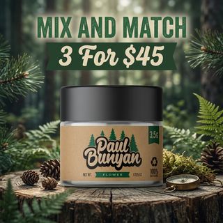 Morning Star Paul Bunyan