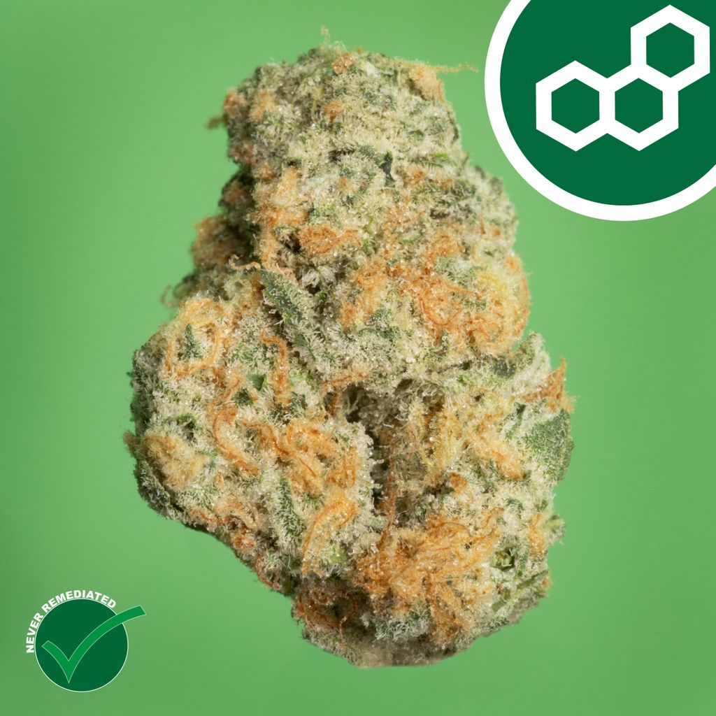 Theraplant Black Cherry GMO 3.5g Flower