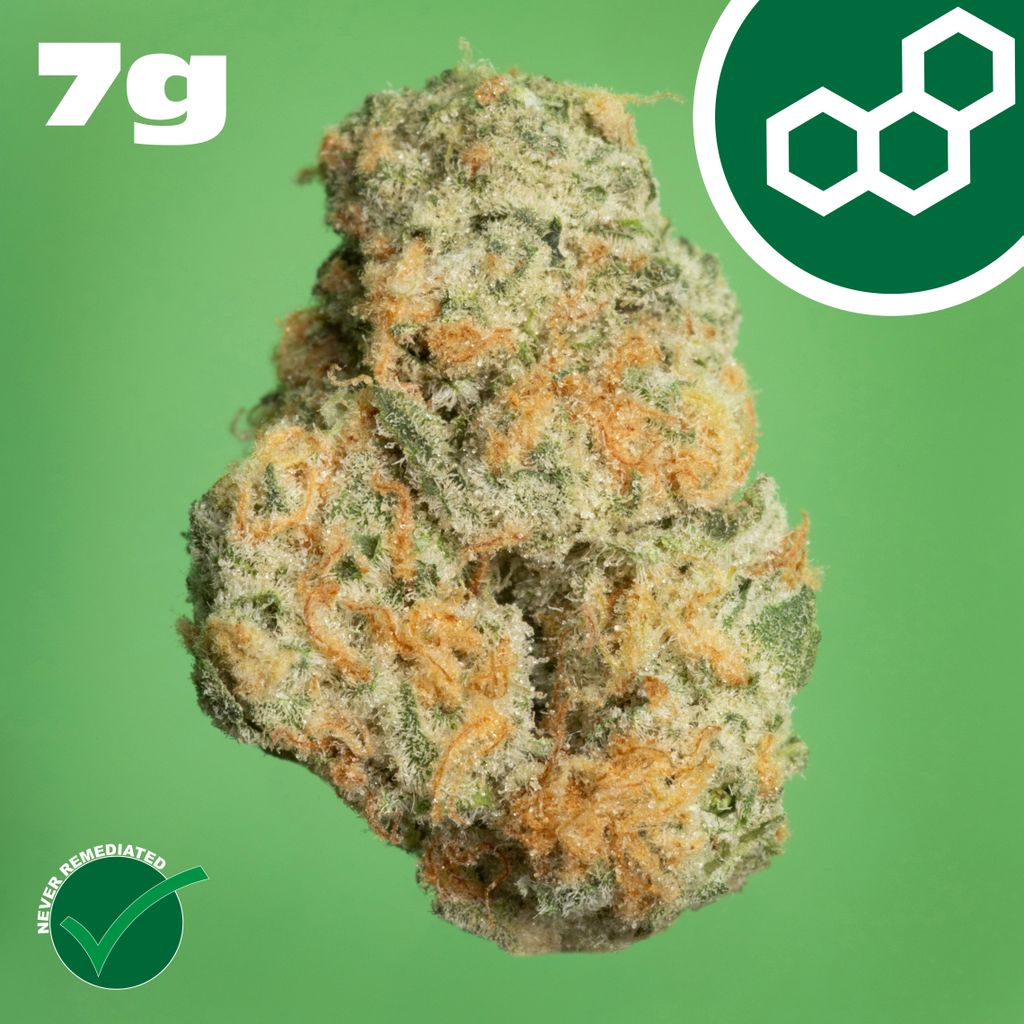 Theraplant Black Cherry GMO 7g Flower
