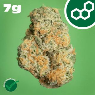 Black Cherry GMO product