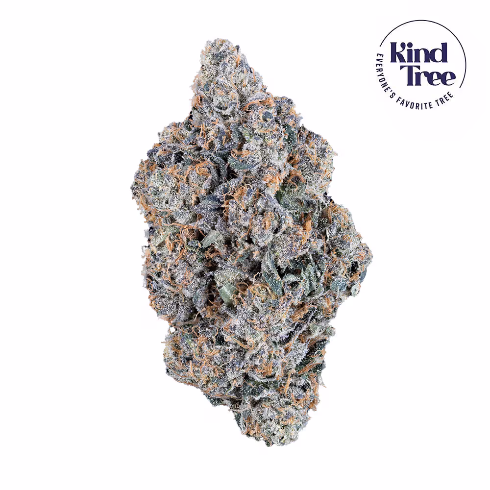 BKD Alaska Kind Tree BKD Alaska Kind Tree