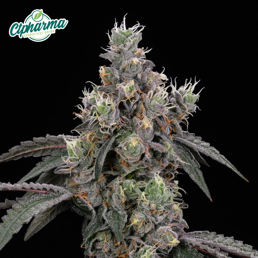 CTPharma Lemon Cherry Sherb Flower, 3.5g