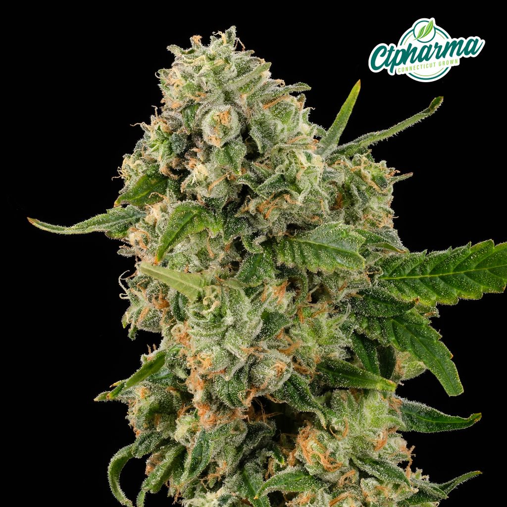 CTPharma Zuava 3.5g Flower
