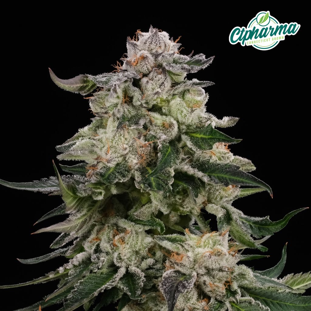 Modified Haze