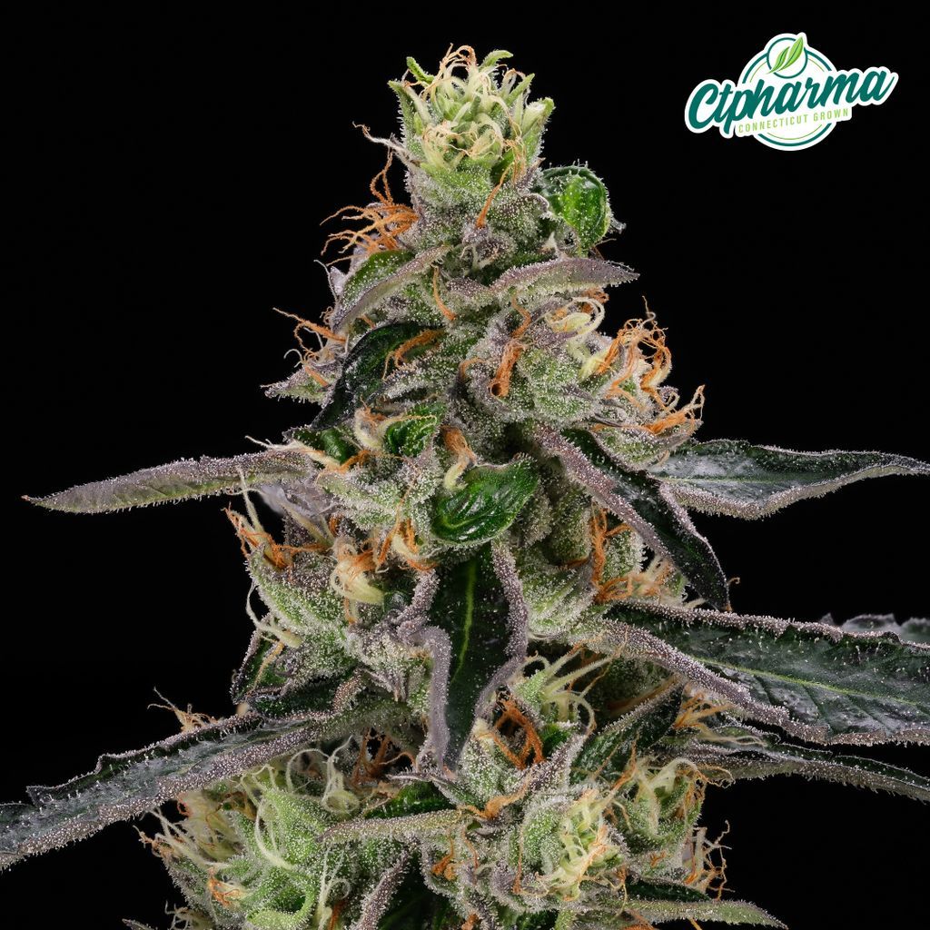 CTPharma Deep Blue Gas Flower, 3.5g
