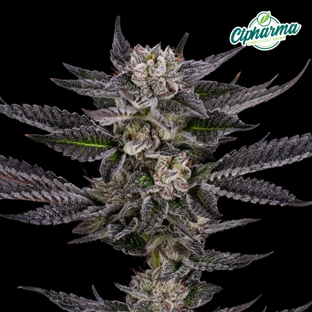 CTPharma Jokerz 3.5g Flower