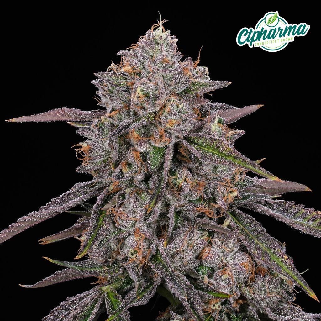 CTPharma Blue Andeze 3.5g Flower