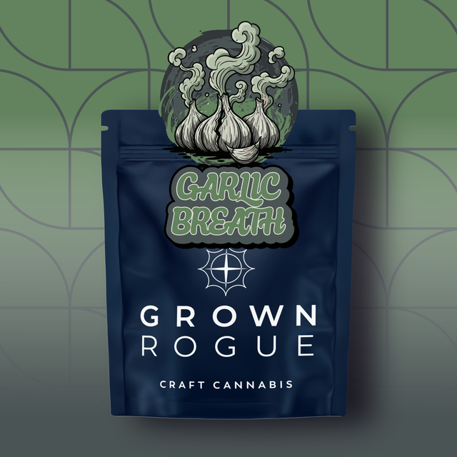 Garlic Breath Grown Rogue