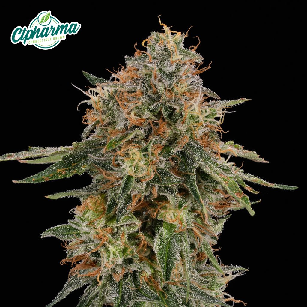 CTPharma Melonade 3.5g Flower