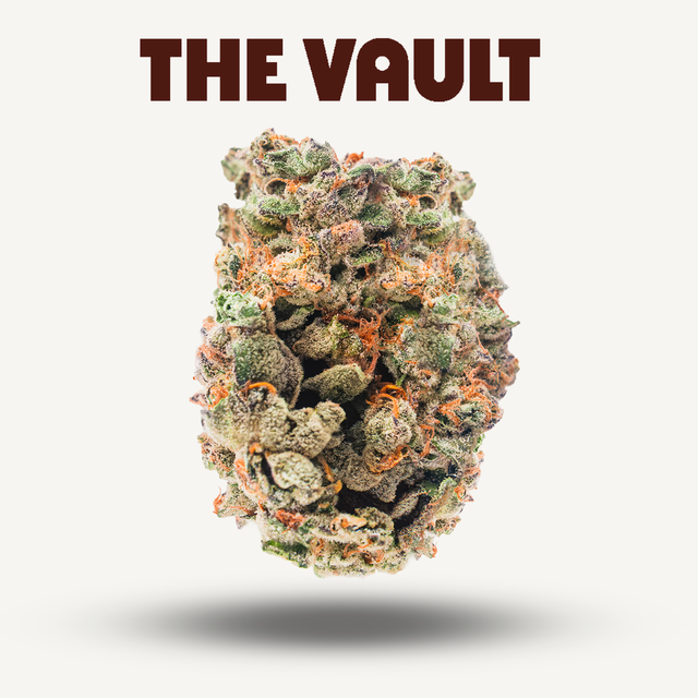 Kashmir Kush The Vault