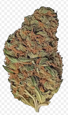 Maui Wowie | 3.5g Flower Hamilton Farms Maui Wowie | 3.5g Flower Hamilton Farms