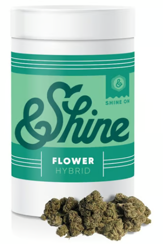 Citrus Bliss &Shine