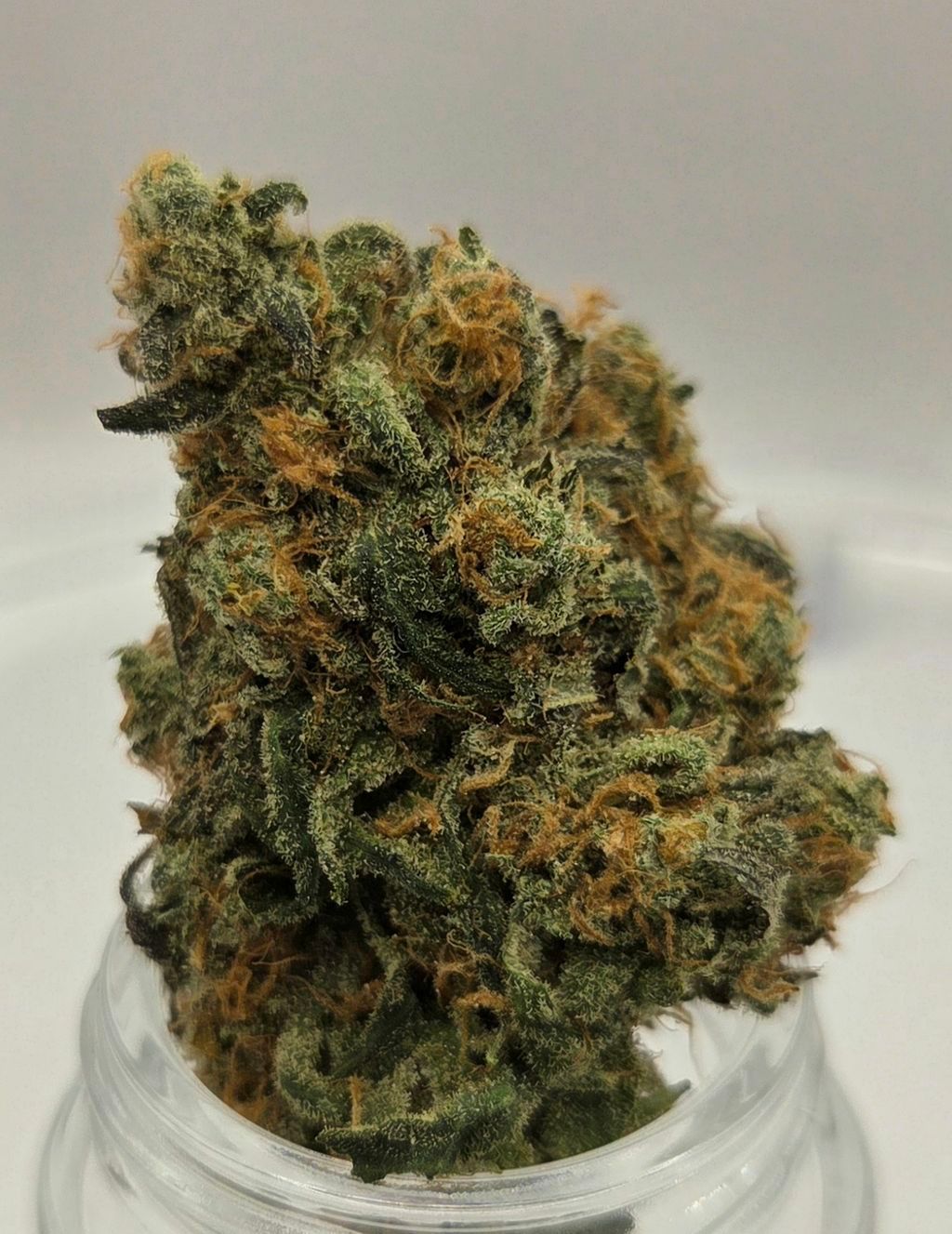 MI Loud Flower Farms Blue Dream Deli Style Flower, 1g