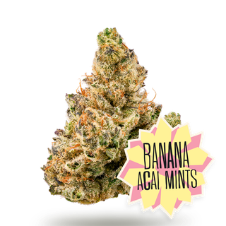 Banana Acai Mints District Cannabis