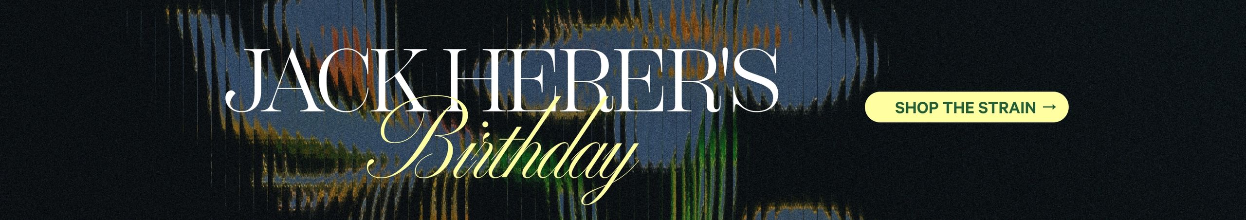 Cannabis Promo, Cannabis Sales, Cannabis Discounts, Cannabis on Sale, 2026 HBD Jack Herer