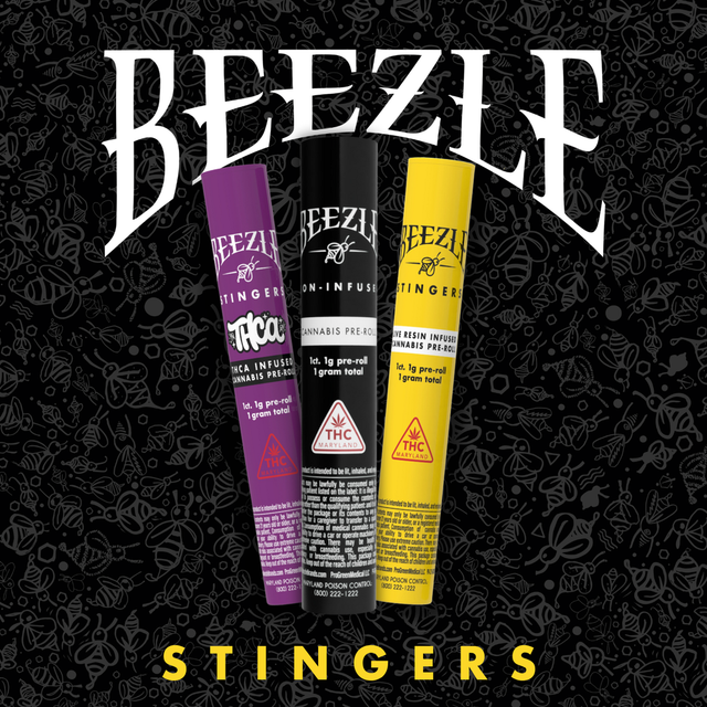 Gelato Beezle