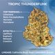 Tropic Thunderfunk Ozone Tropic Thunderfunk Ozone