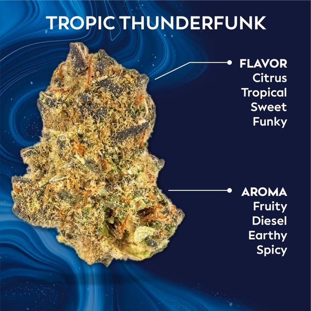 Tropic Thunderfunk Ozone Tropic Thunderfunk Ozone