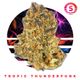 Tropic Thunderfunk Ozone Tropic Thunderfunk Ozone