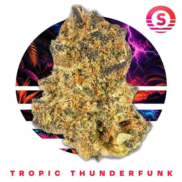 Tropic Thunderfunk Ozone Tropic Thunderfunk Ozone