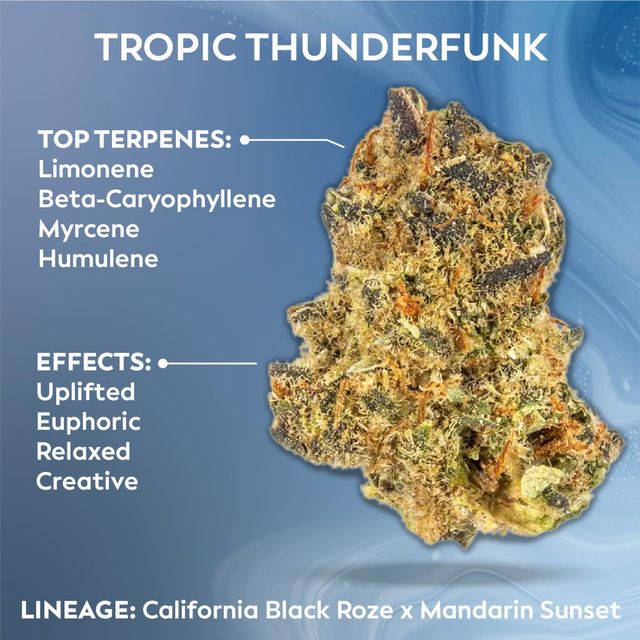 Tropic Thunderfunk Ozone Tropic Thunderfunk Ozone