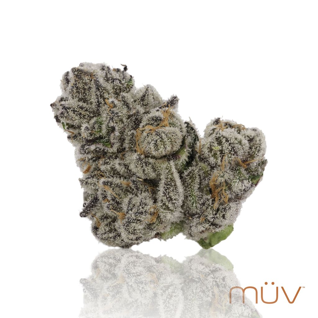 Glitter Bomb, MÜV