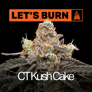 CT Kush Cake product