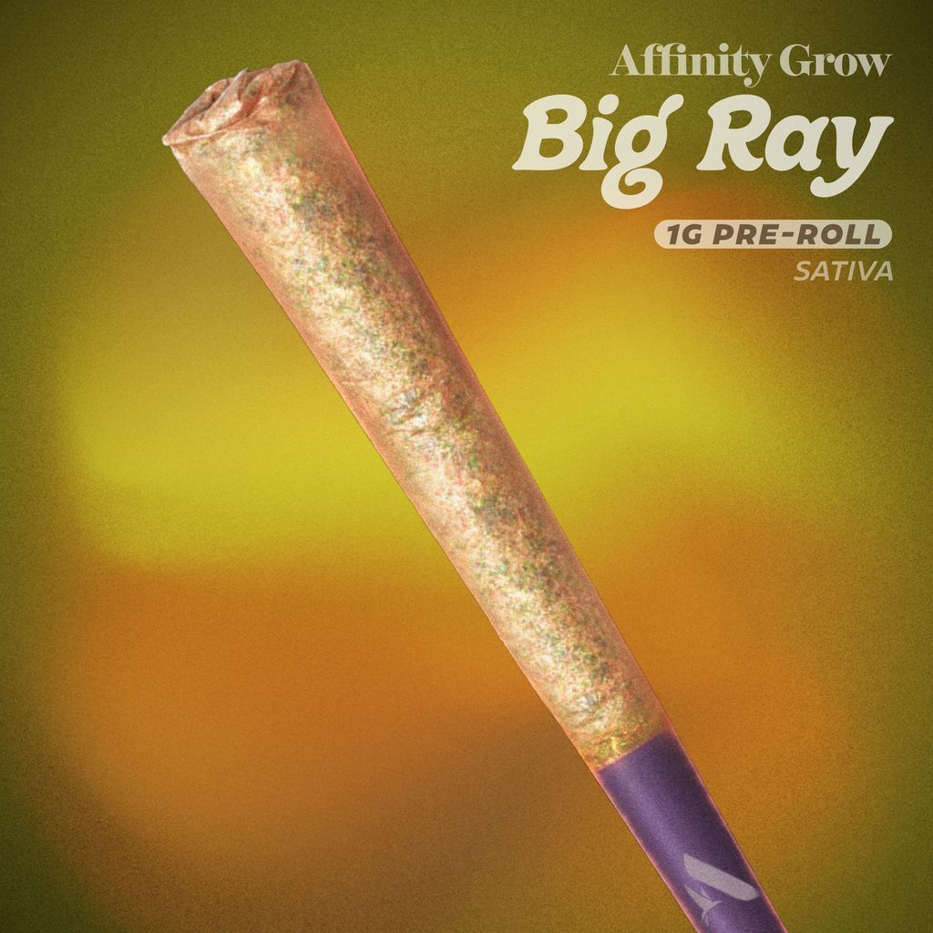 Affinity Big Ray College Park Pre-Roll Single, 1g, 1pk